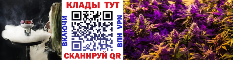 Магазины продажи наркотиков Череповец Псилоцибиновые грибы  Cocaine  A PVP  МЕФ  АМФ  ГАШИШ  Бошки Шишки 