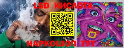 ешки Краснознаменск