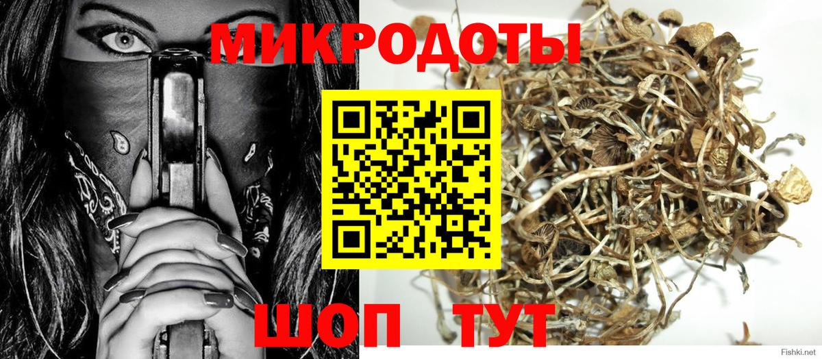Галлюциногенные грибы мицелий Череповец