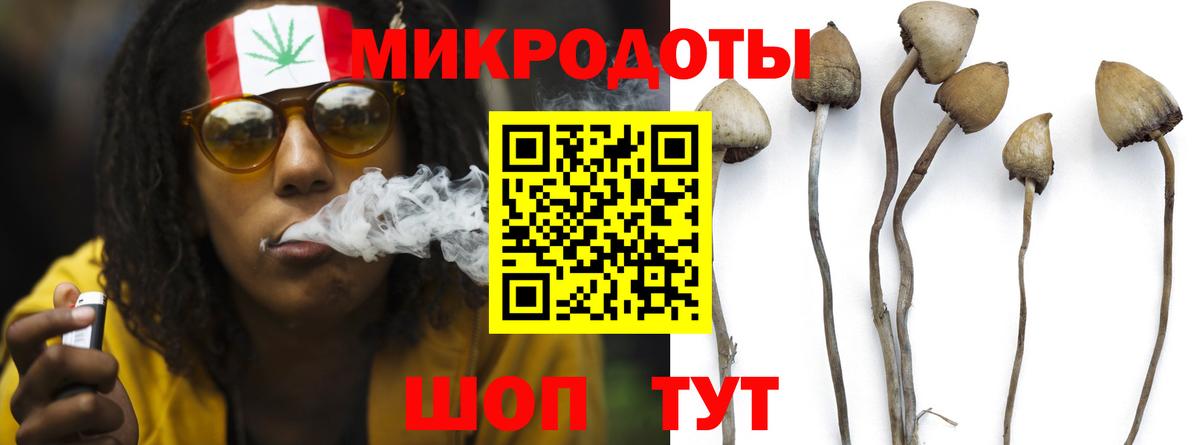 Череповец  Галлюциногенные грибы мицелий  Вход с VPN 